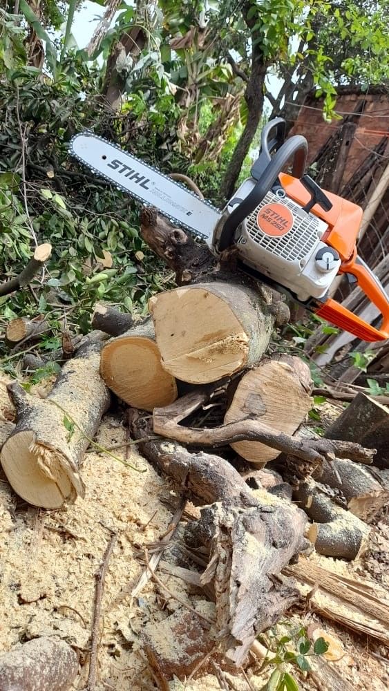 Espace vert — coupe et débitage de bois à la tronçonneuse
